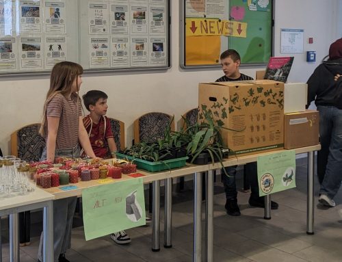 Mittelschule St. Georg engagiert sich für Recycling – Handykiste und Sammeldrache im Einsatz