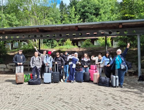 Teamtage im Regenwald